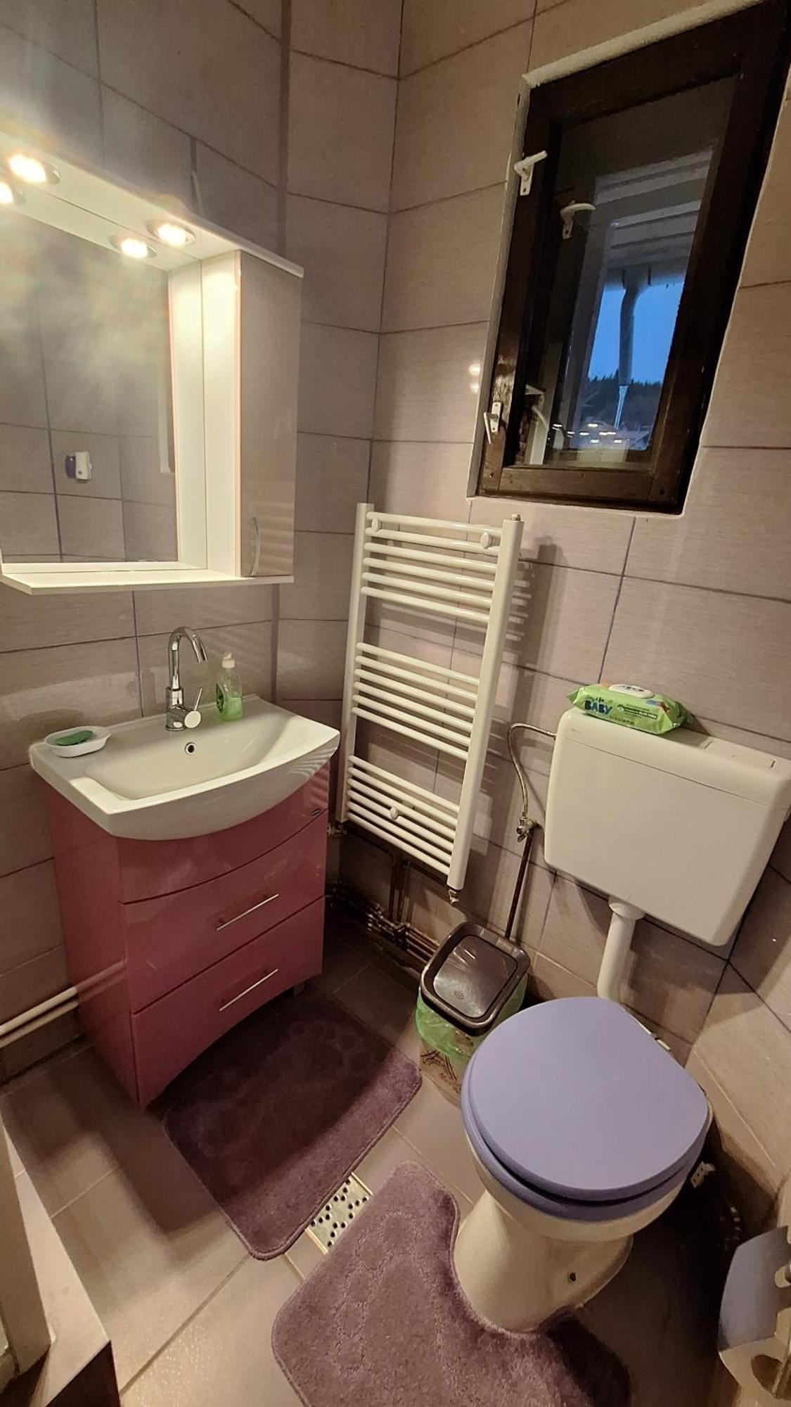 Casa Antonia Hotel Azuga Luaran gambar
